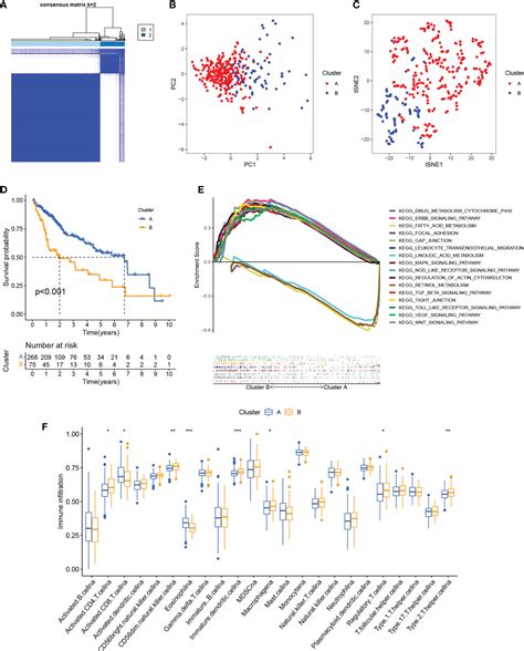 Frontiers Cuproptosis Regulator Mediated Patterns Associated With