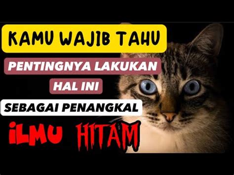 KAMU WAJIB TAHU Pentingnya Lakukan Hal Ini Sebagai Penangkal ILMU