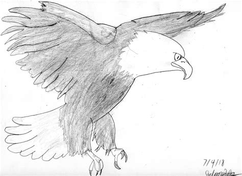 Bald Eagle 2018 by WilliamCreator57 on DeviantArt