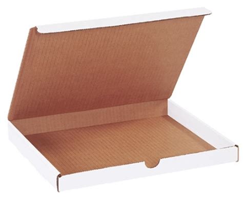 11 1 8 X 8 3 4 X 2 Kraft Literature Mailers 50 Bundle