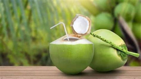 Coconut Water In Summer उन्हाळ्यात नारळ पाणी पिणे आहे खूप फायदेशीर