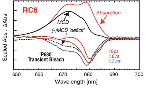 Absorption And Scaled MCD Spectra Of A D1 D2 Cyt B559 Reaction Centre