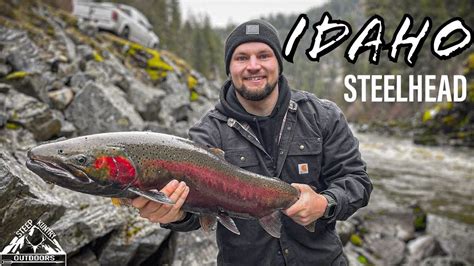 Idaho Steelhead Fishing Youtube