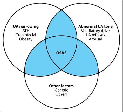 Pathophysiology Of OSAS OSAS Obstructive Sleep Apnea Syndrome UA