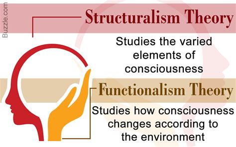 Difference Between Structuralism And Functionalism Functionalism