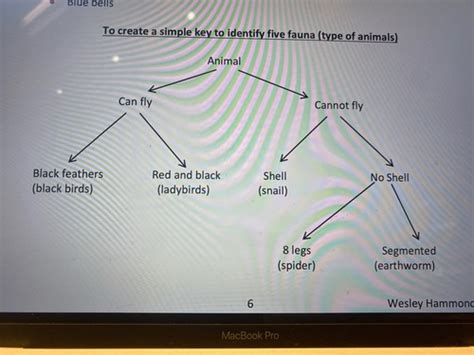 Ecology Experiments Flashcards Quizlet