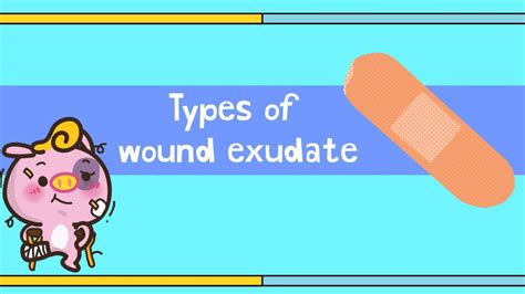 Types Of Wound Exudate Youtube