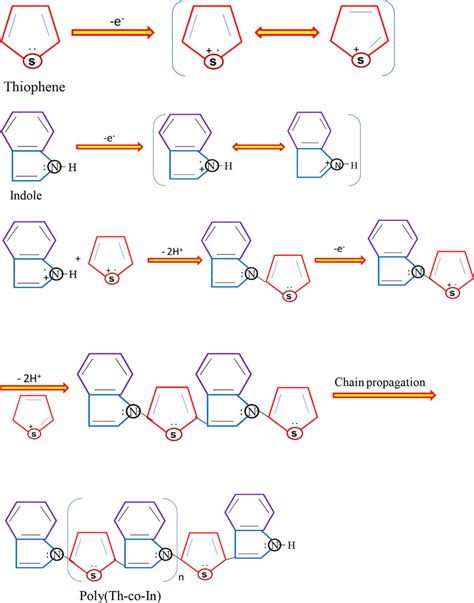 Mechanism For The Formation Reaction Of Thiophene Indole Conducting