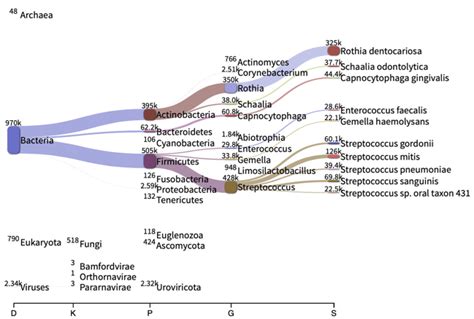 Cogenesis® Metagenomics Codex Genetics