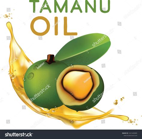 24 Tamanu Oil Skin Images, Stock Photos, 3D objects, & Vectors ...