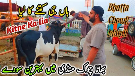 Han Bhai Kitne Ka Lia Bhatta Chowk Mandi Latest Update June