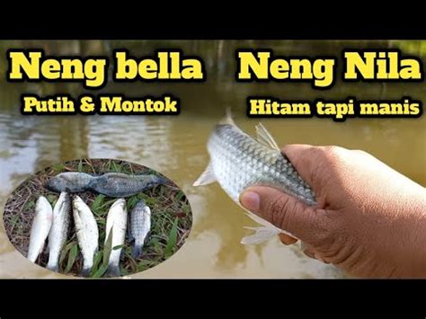 Mancing Di Spot Ini Selalu Membuatku Senang YouTube