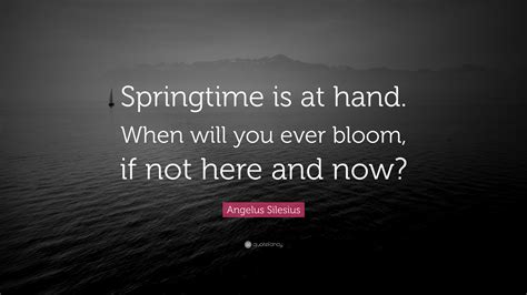 Spring Is Here Quotes