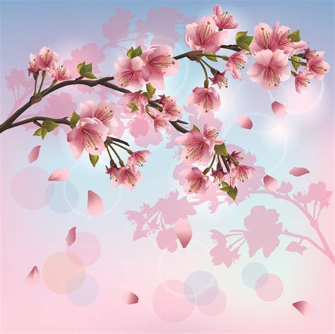 Cherry Blossom Tree Vector at Vectorified.com | Collection of Cherry Blossom Tree Vector free ...