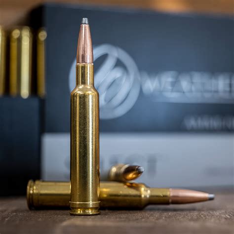 Mm Weatherby Inc