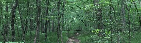 Caney Creek Trail 17 Reviews Map Arkansas Alltrails