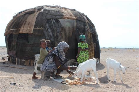 Carestia In Africa Crisi Gravissima La Rete Caritas Lancia Un Appello