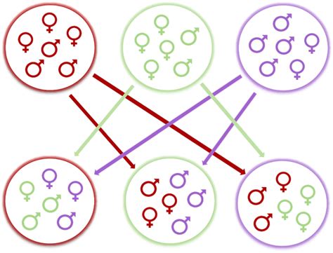 Are Brood Sex Ratios Adaptive The Effect Of Experimentally Altered