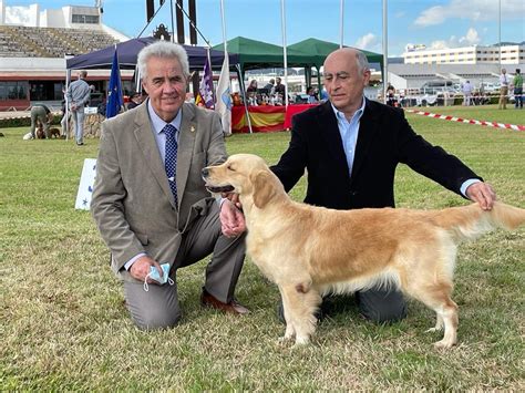 Wendy Tribergold Tramontana Obtiene Excelente Cac Cacib Bob