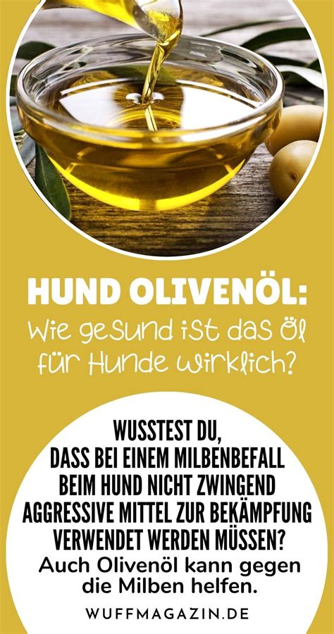 Hund olivenöl wie gesund ist das Öl für hunde wirklich Artofit