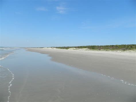 You'll Find Loads Of Sand Dollars On This Secluded South Carolina Beach