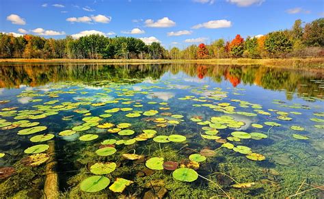 HD wallpaper: Beautiful Lake Scenery, Autumn, body of water, Nature, Lakes | Wallpaper Flare