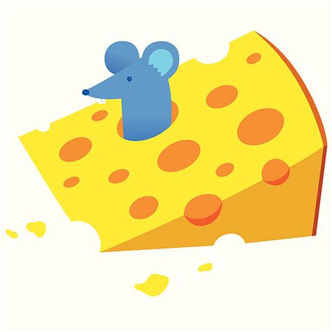 Mouse Cheese Eating Swiss Cheese Clip Art, Vector Images & Illustrations - iStock