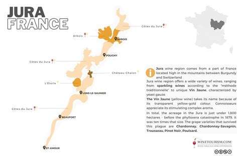 Mappe Dei Vini Gratuite Da Scaricare Winetourism