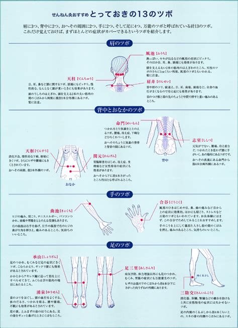 お灸 市販 ツボ 自宅 もぐさ せんねん灸オフ レギュラーきゅう 伊吹 80点 1個 お灸 Sixmatrixjp