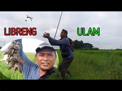 Pamimingwit Ng Palaka Sa Probinsya Libreng Ulam Youtube