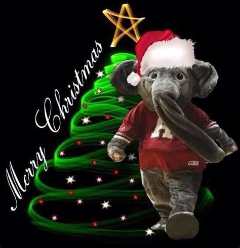 Pin By Barco Blanton On Roll Tide Roll Alabama Crimson Tide Football