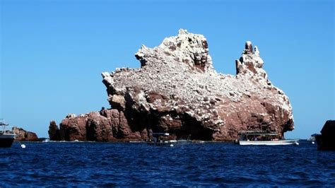 Explora Las Islas Ocultas De Veracruz Que Encantan A Sus Visitantes