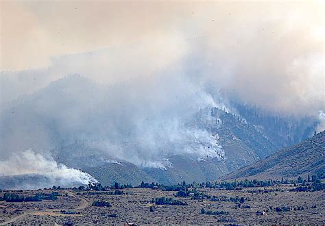 Forest Service Hosts Tamarack Restoration Meeting Serving Minden