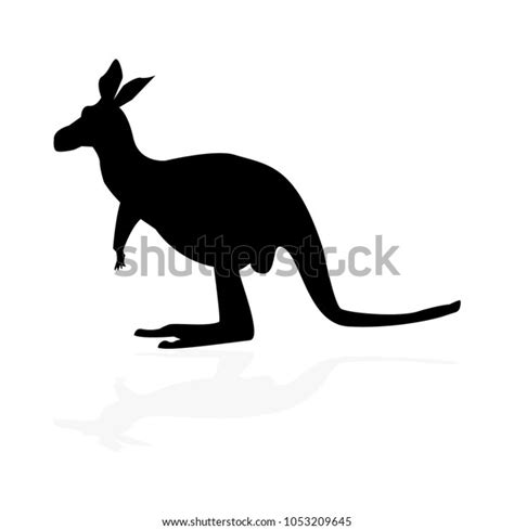 Kangaroo Shadow Photos Images And Pictures