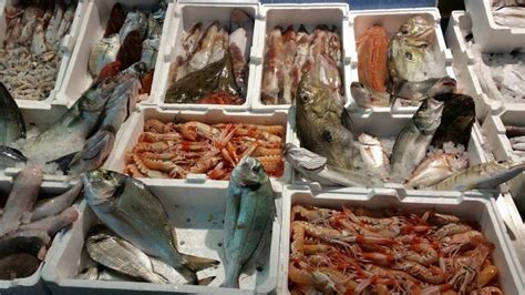 Gaeta Mercato Del Pesce In Crisi L Ana Ugl Scrive Al Sindaco Leccese