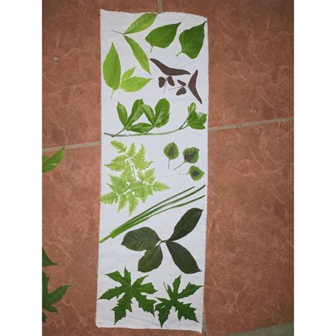 Jual Paket Daun Special Ecoprint Shopee Indonesia