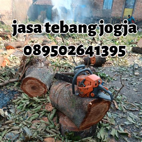 Jasa Tebang Pohon Panggilan Jogja Di Yogyakarta Tribun JualBeli