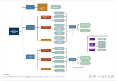 2023最新汇总！转移性结直肠癌靶向和免疫治疗现状及进展 知乎