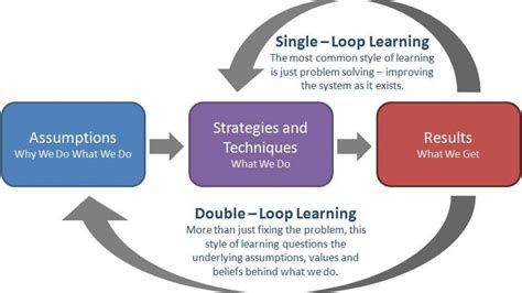 Double Loop Learning Samim