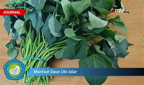 Banyak Yang Belum Tau Inilah Manfaat Daun Ubi Jalar Yang Wajib