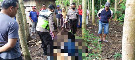 Petani Ditemukan Tewas Telungkup Di Pekarangan Warga Tugumalang Id