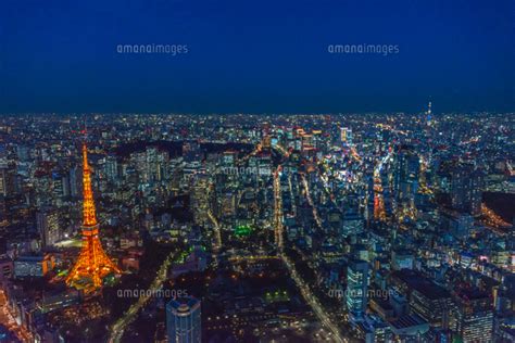 √画像をダウンロード 東京タワー 夜景 画像 249291 東京タワー 夜景 画像 フリー