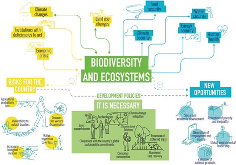 SciELO Brasil - Brazilian assessment on biodiversity and ecosystem