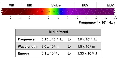 Visible Light Wavelength