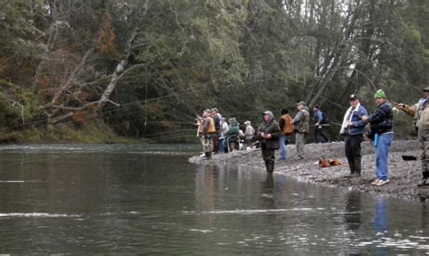 How To Catch A Chinook Salmon