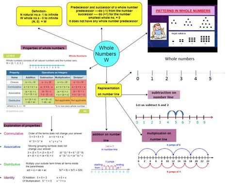 Concept Map Whole Numbers Class 6