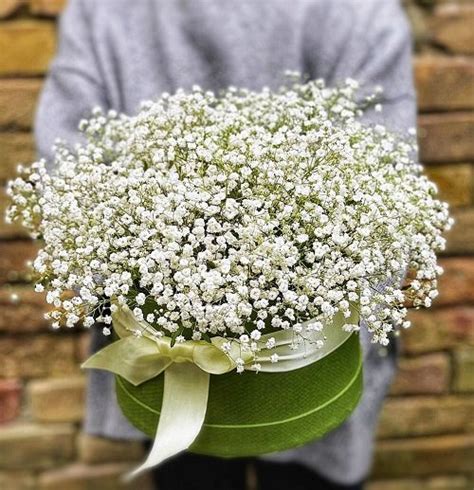 17 White Flowers For Funeral | White Sympathy Flowers