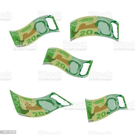 New Zealand Dollar Vector Illustration New Zealand Money Set Bundle Banknotes Falling Flying