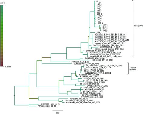 Bayesian Phylogenetic Analysis Of The Vp Nucleotide Sequence Of Asia