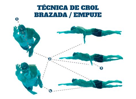 Técnica de crol en triatlón entrenamiento fundamento y todos sus